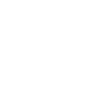 Spinch Logo